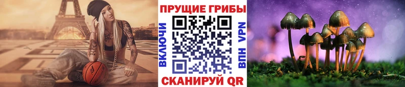 Псилоцибиновые грибы Cubensis  Купить закладки  Рошаль 